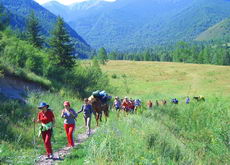 altai trek 05