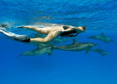 egypt sea 04