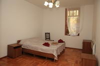 eucalyptus 18